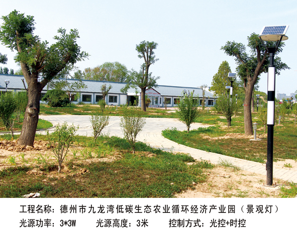 德州市九龍灣 低碳生態(tài)農(nóng)業(yè)循環(huán)經(jīng)濟產(chǎn)業(yè)園（景觀燈） 3m